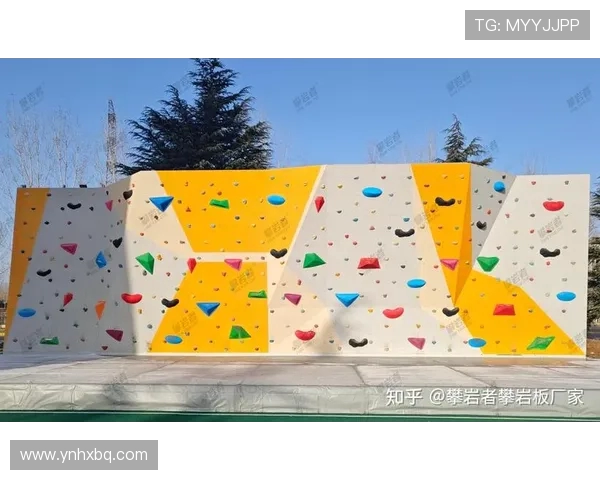 杭州攀岩队的节奏变化与表现分析探讨攀岩运动的未来发展方向